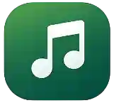 Offline Music Download